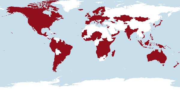 Map of countries where Starlink services are currently commercially available. Source: TeleGeography’s GlobalComms Database
